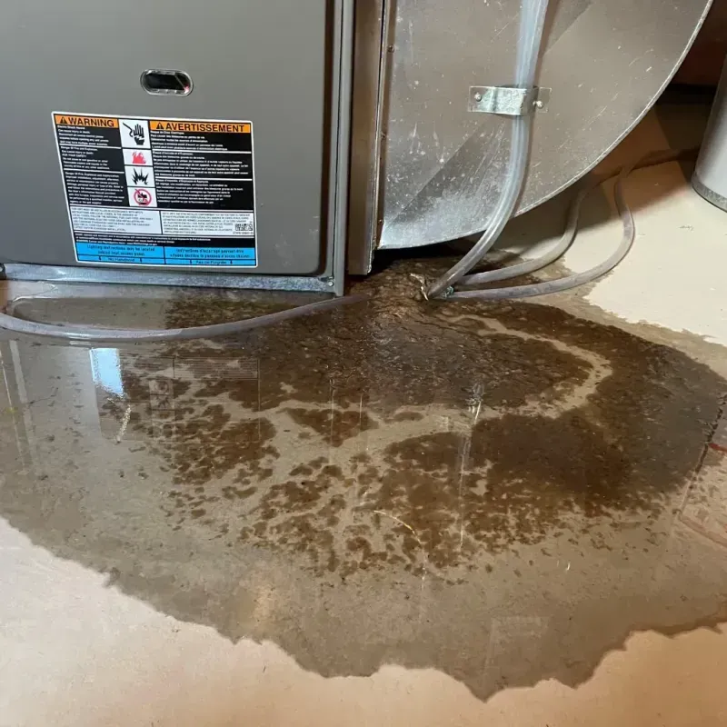 Appliance Leak Cleanup in Raytown, MO